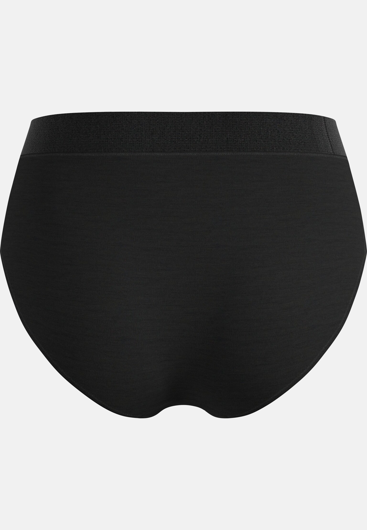 Natural Merino 160 Panty