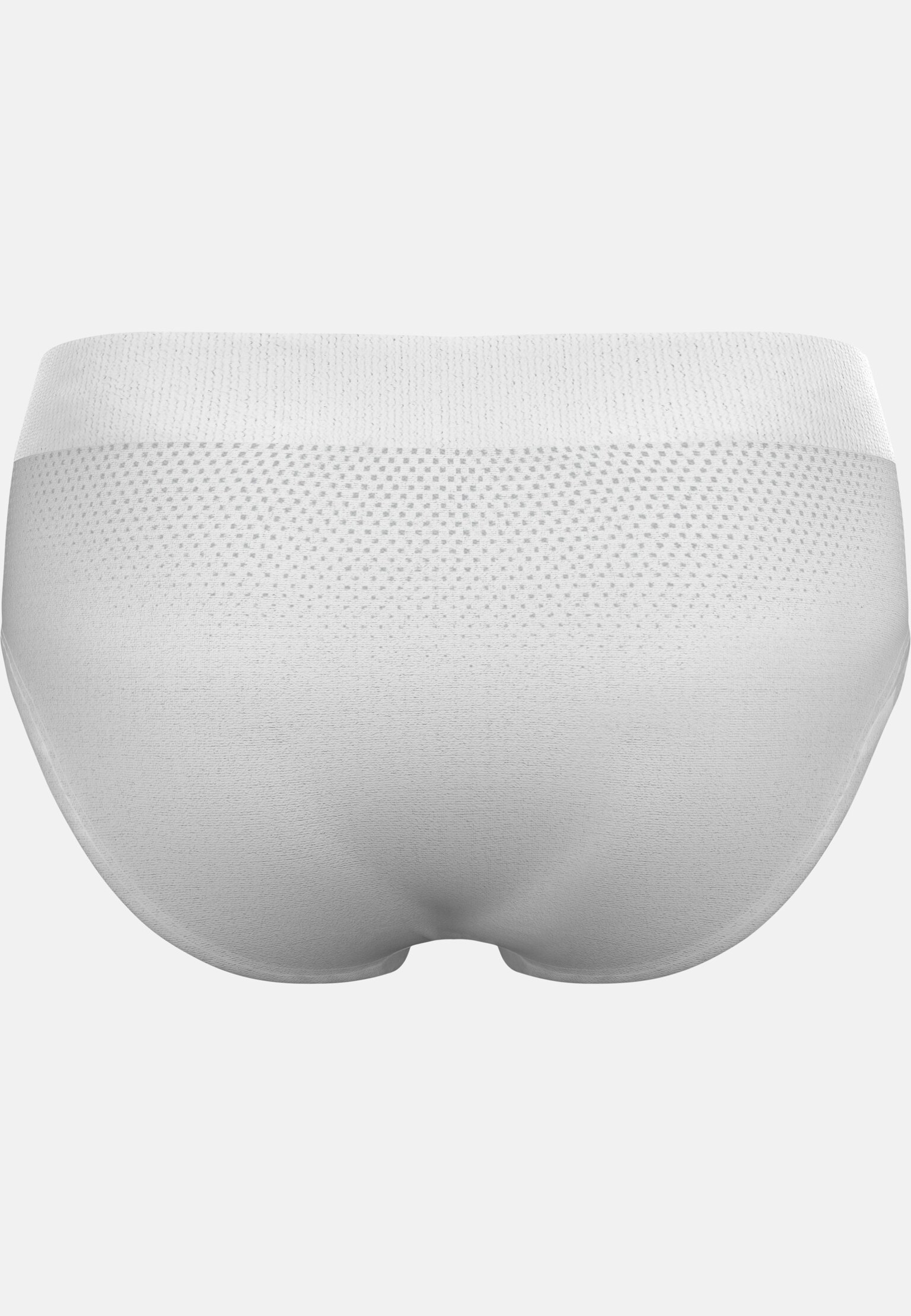The Performance Light Brief