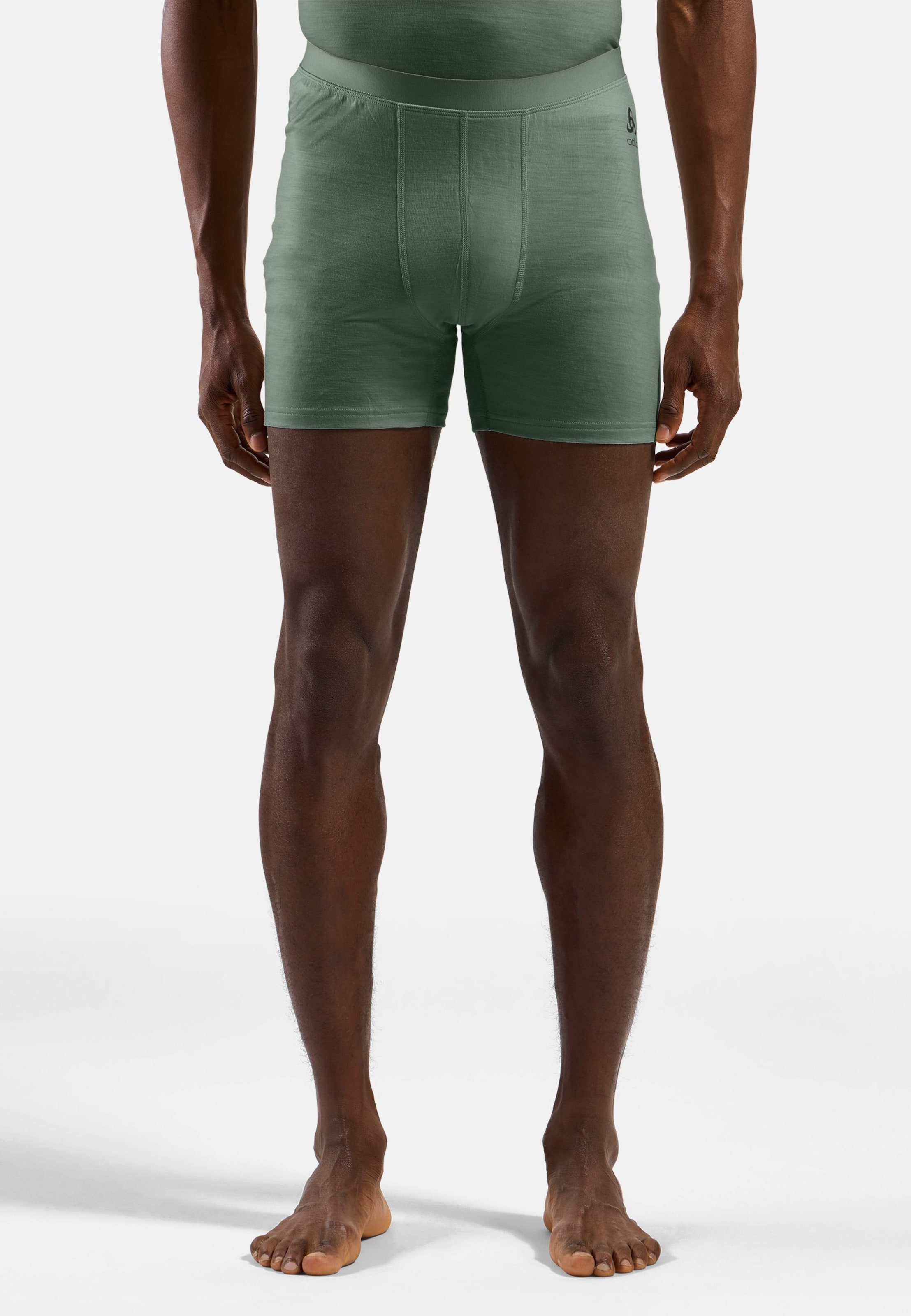 Odlo Natural Merino 160 Boxershorts für Herren, M, grün