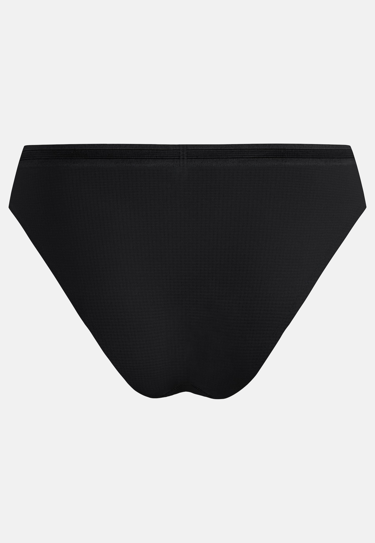 Active Light Brief