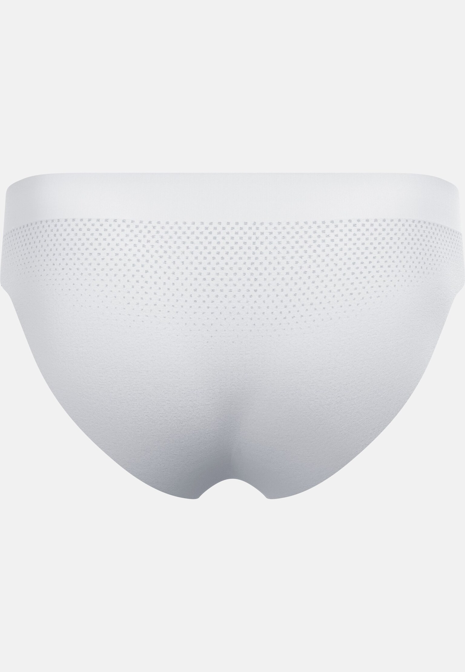 Performance Light Brief