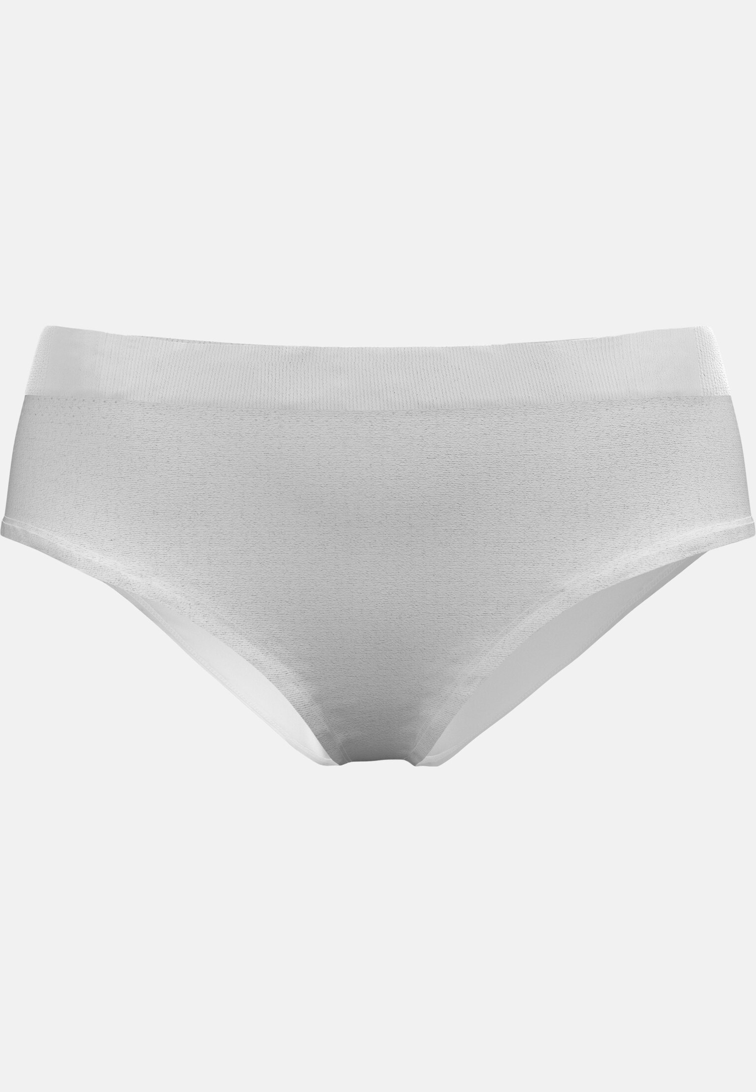 The Performance Light Brief