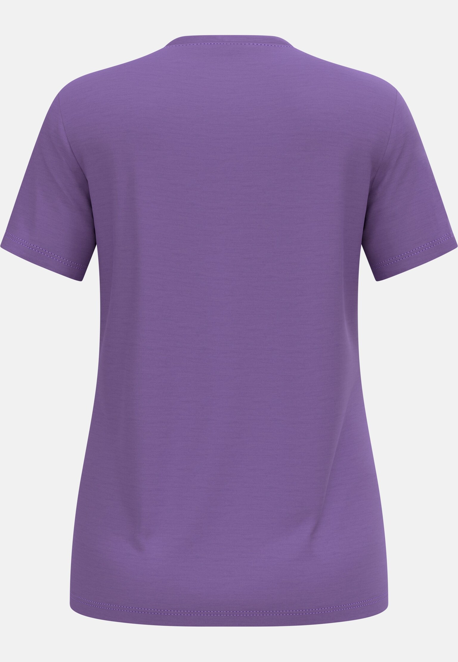 The Ascent merino 160 raincloud t-shirt