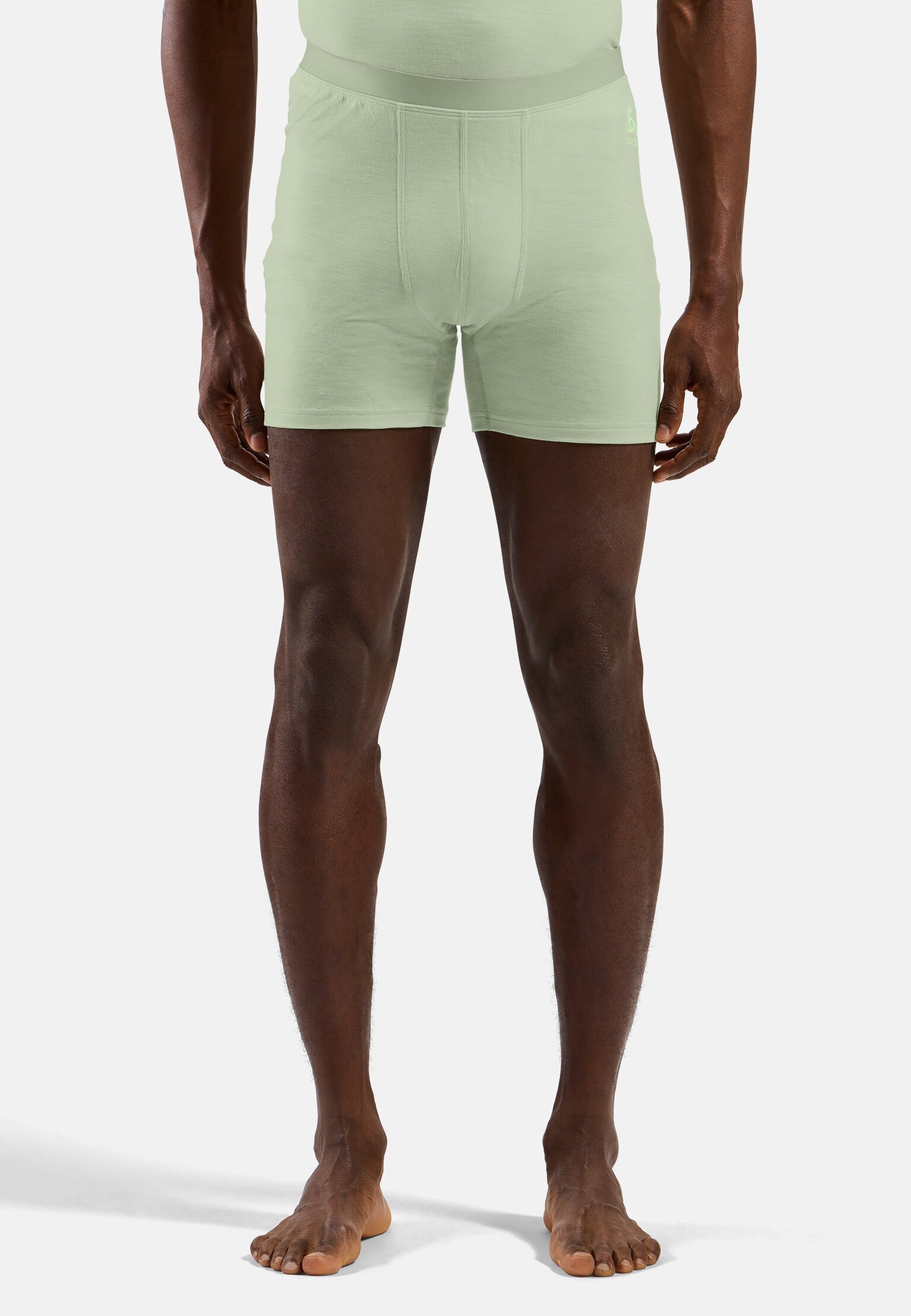 Natural Merino 160 Boxer