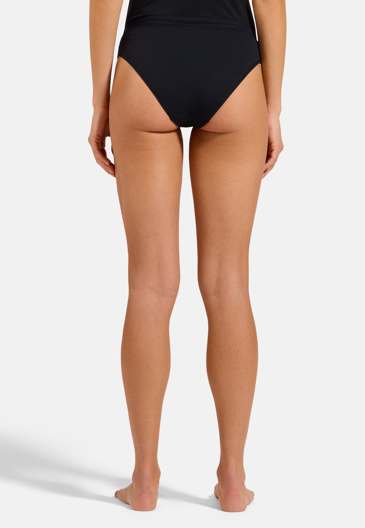 Active Light Brief