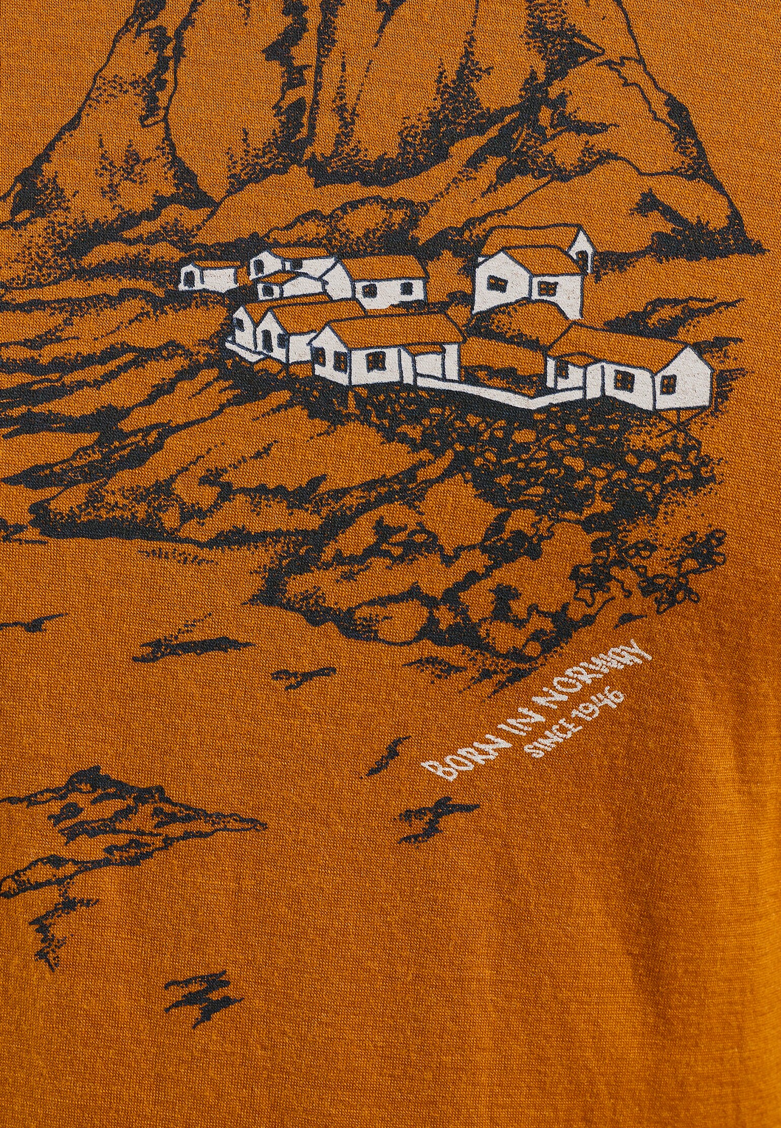 The Ascent 365 merino 200 Norway graphic