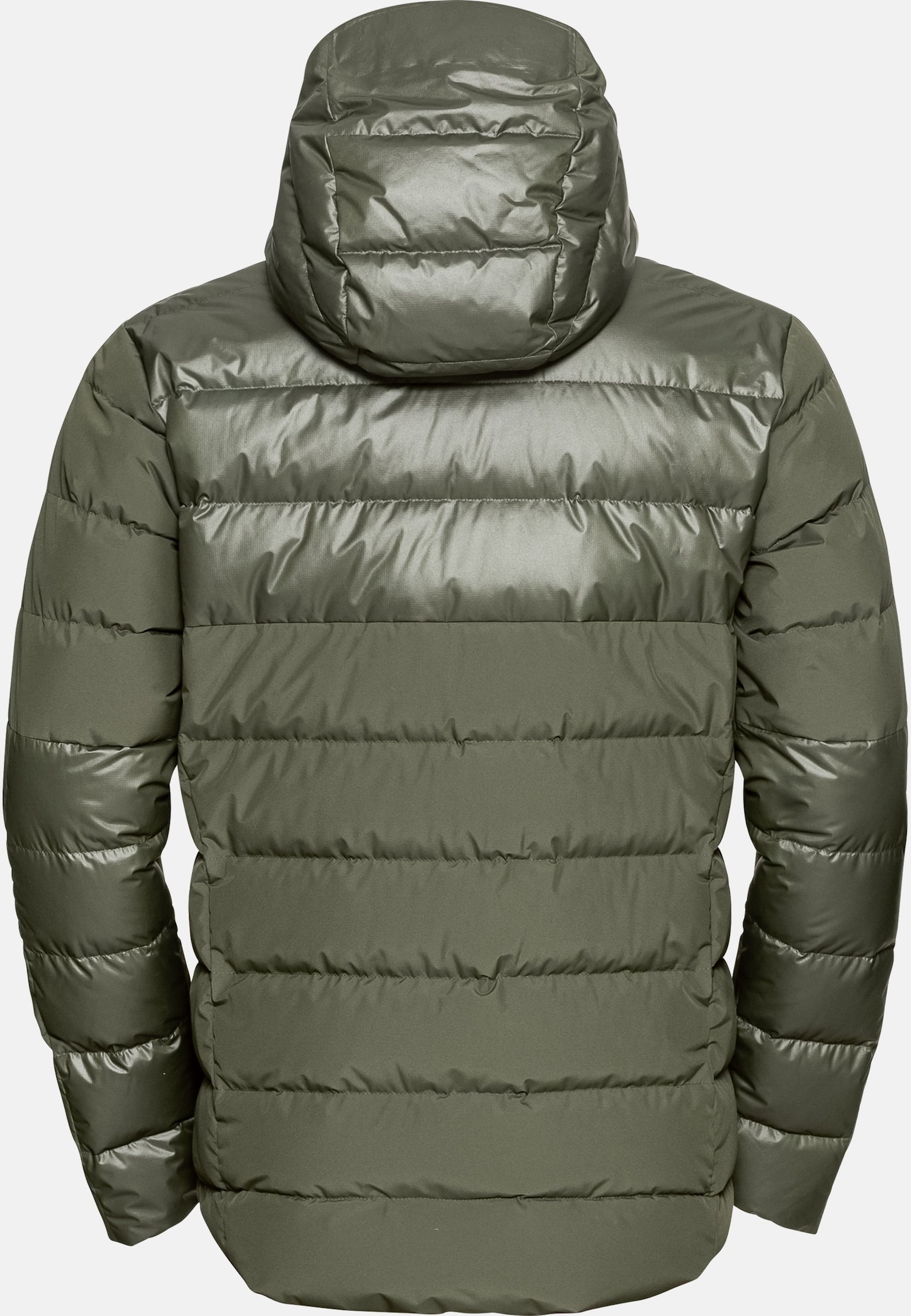 Veste isolante Severin N-Thermic Hooded
