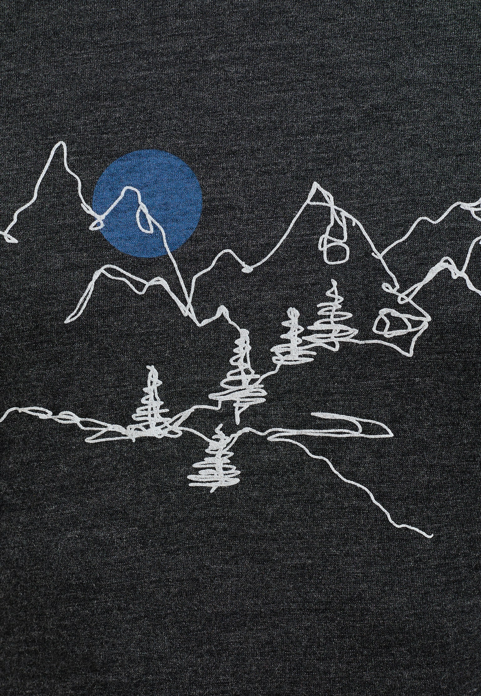 Merino 200 Warm Langarmshirt mit Print