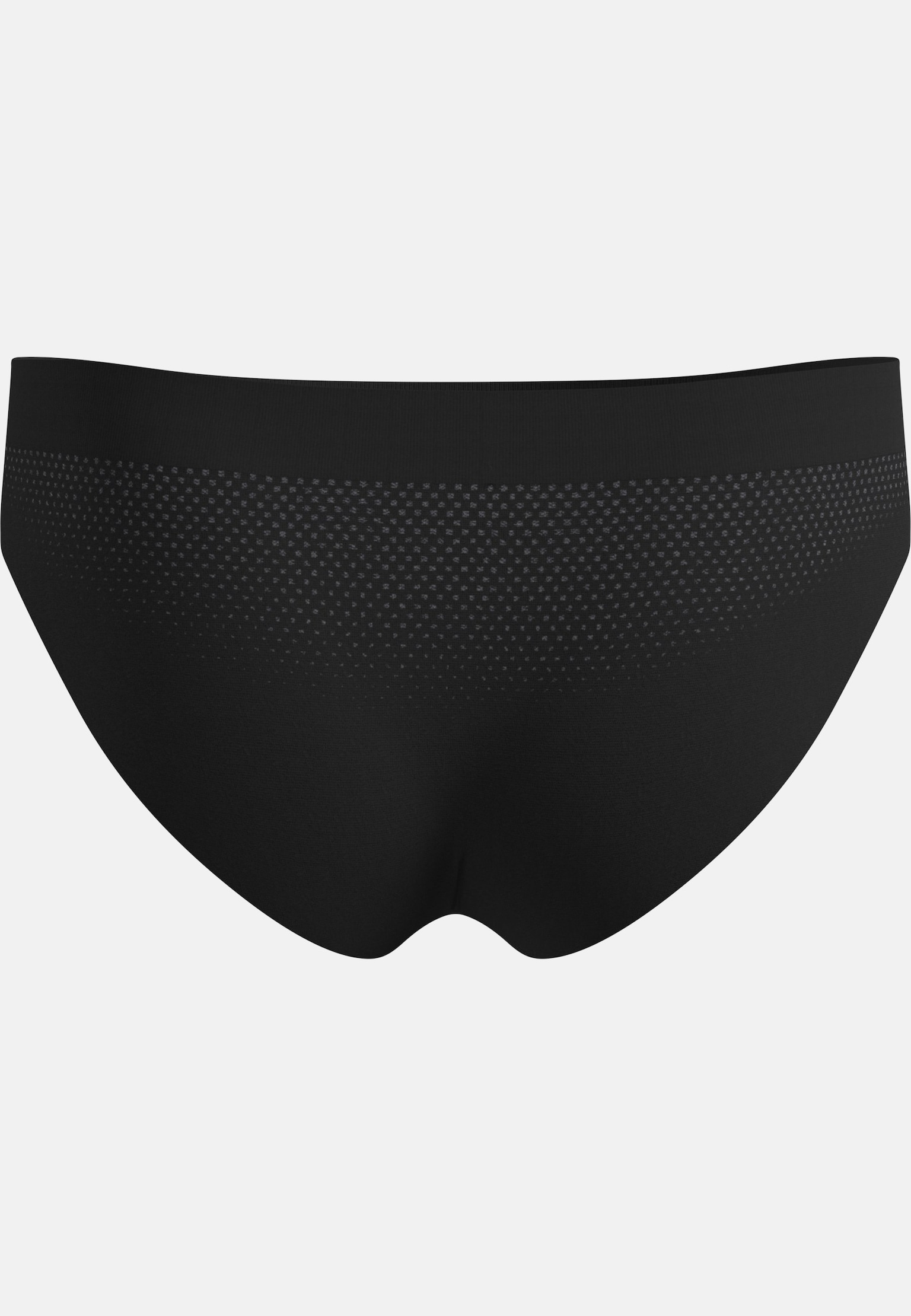 Performance Light Brief