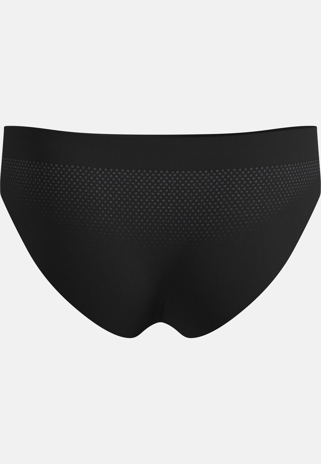 Performance Light Brief
